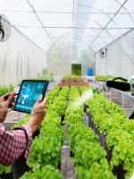 SMART FARMING